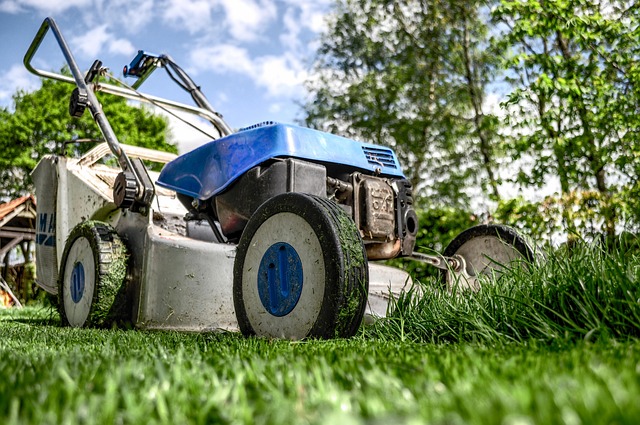 Tuin gereedschap kopen: een leidraad voor beginners